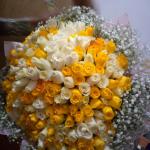 Yellow sunburst bloom