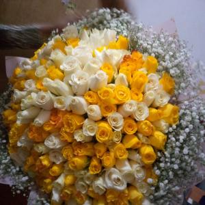 Yellow sunburst bloom