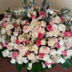 Pink Coffin Spray