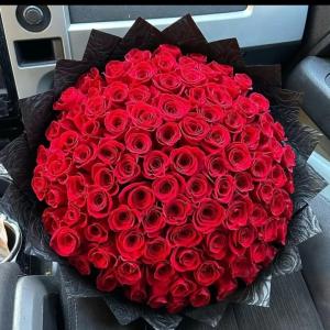 Red roses